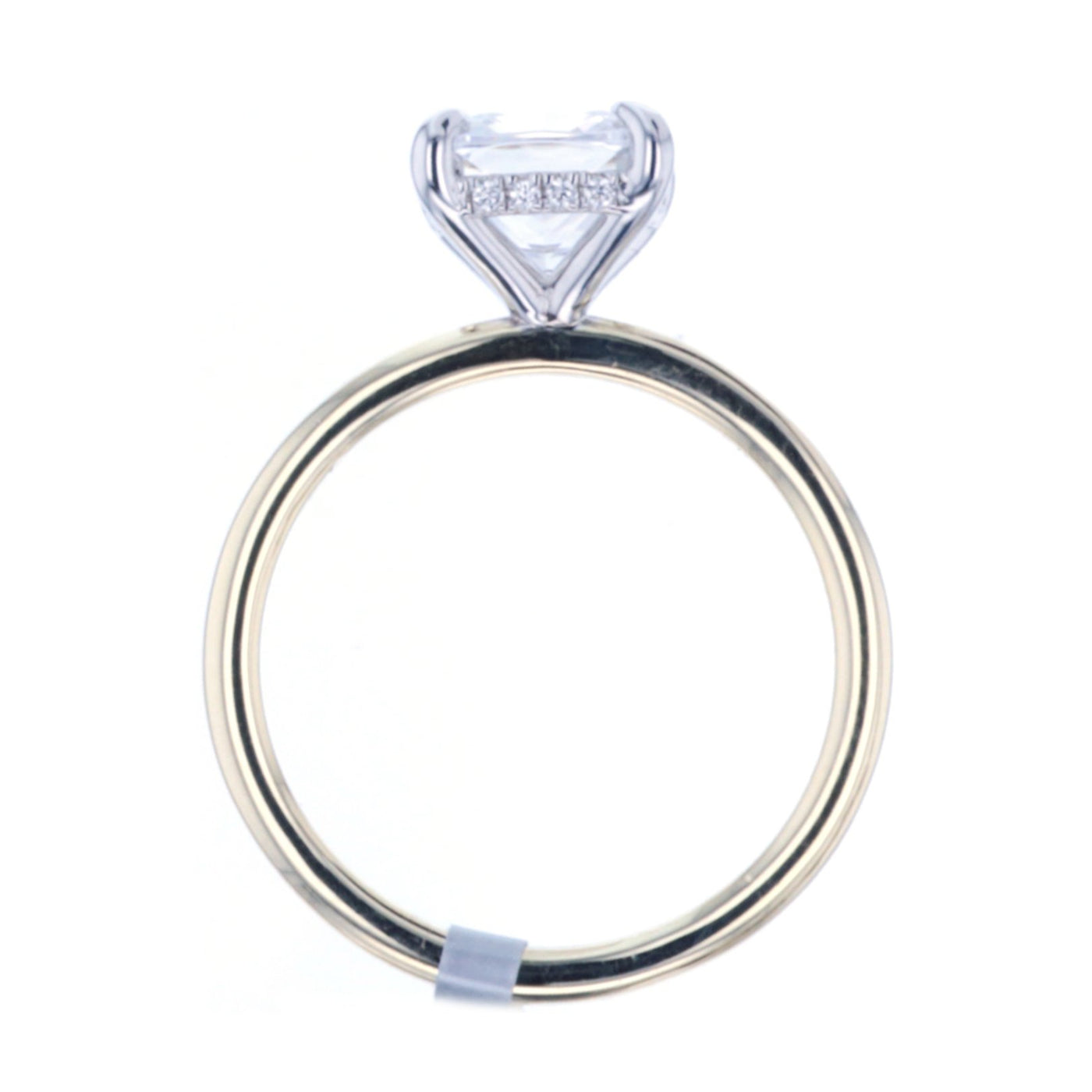 0.05 ctw Diamond Hidden Halo Engagement Ring