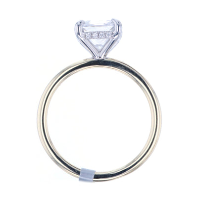 0.05 ctw Diamond Hidden Halo Engagement Ring