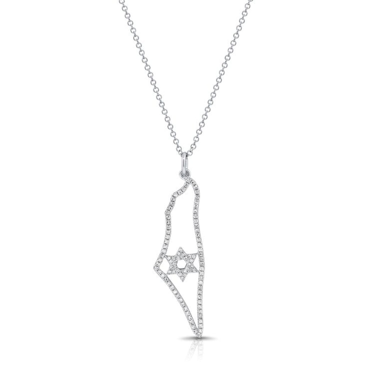 0.26ctw Diamond Map of Israel Star of David Necklace