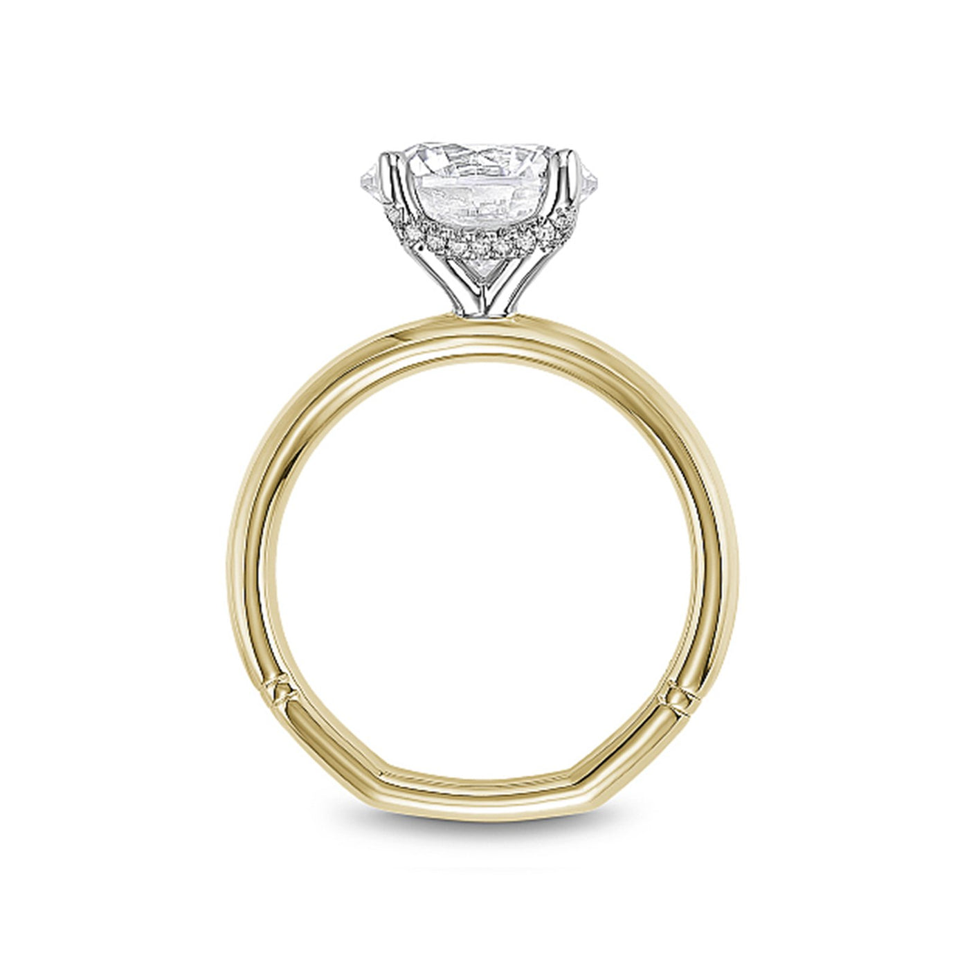 0.08 ctw Diamond Hidden Halo Engagement Ring