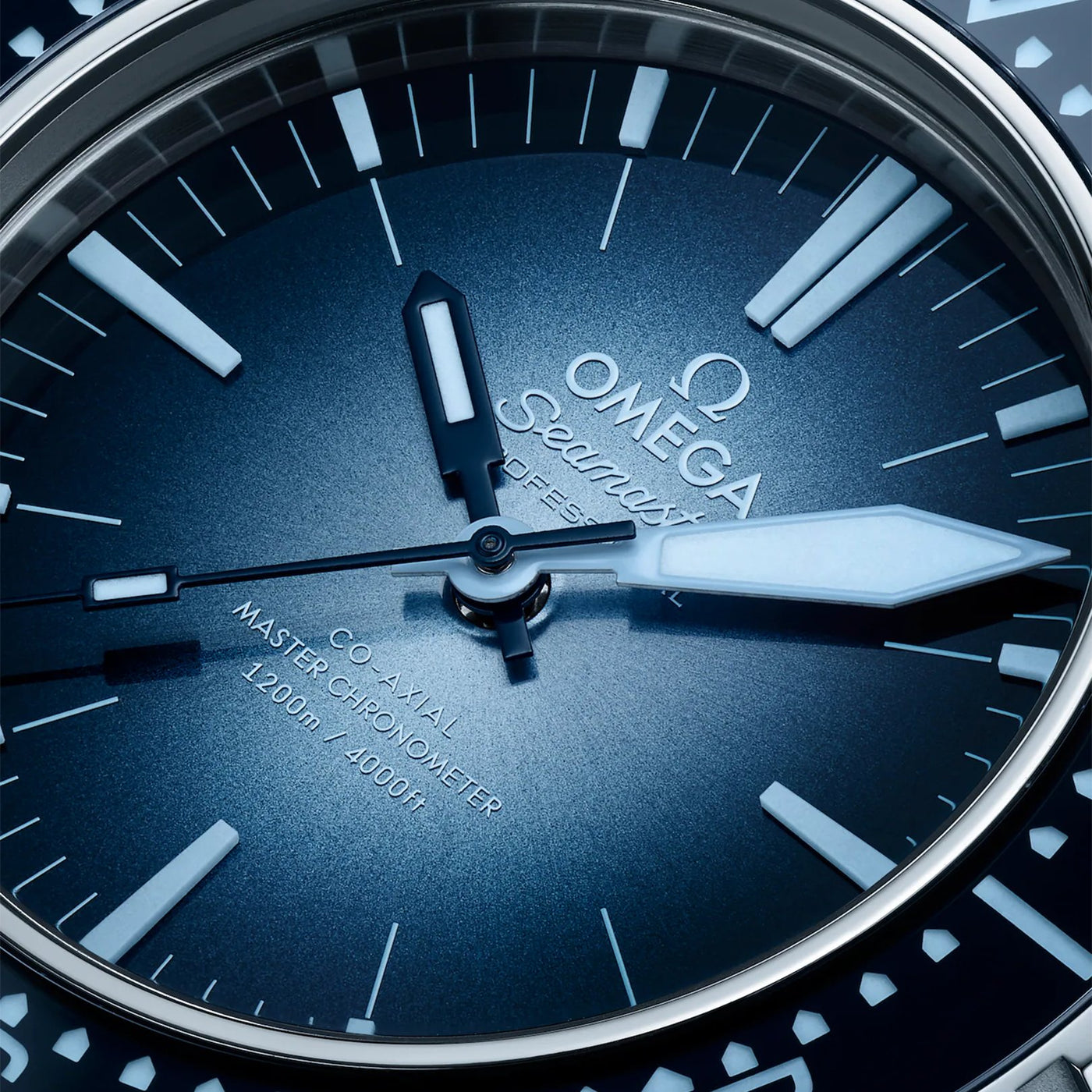 55X44MM Seamaster Pro
