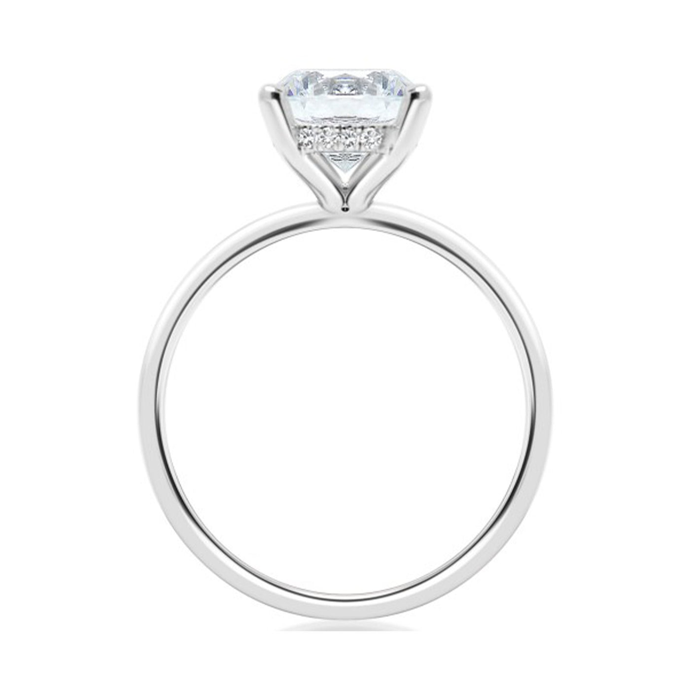 0.06 ctw Diamond Hidden Halo Engagement Ring