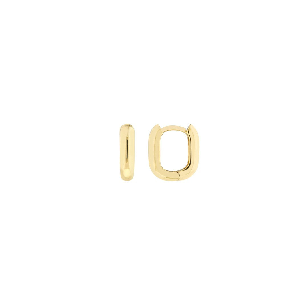 Oblong Hoop Earrings