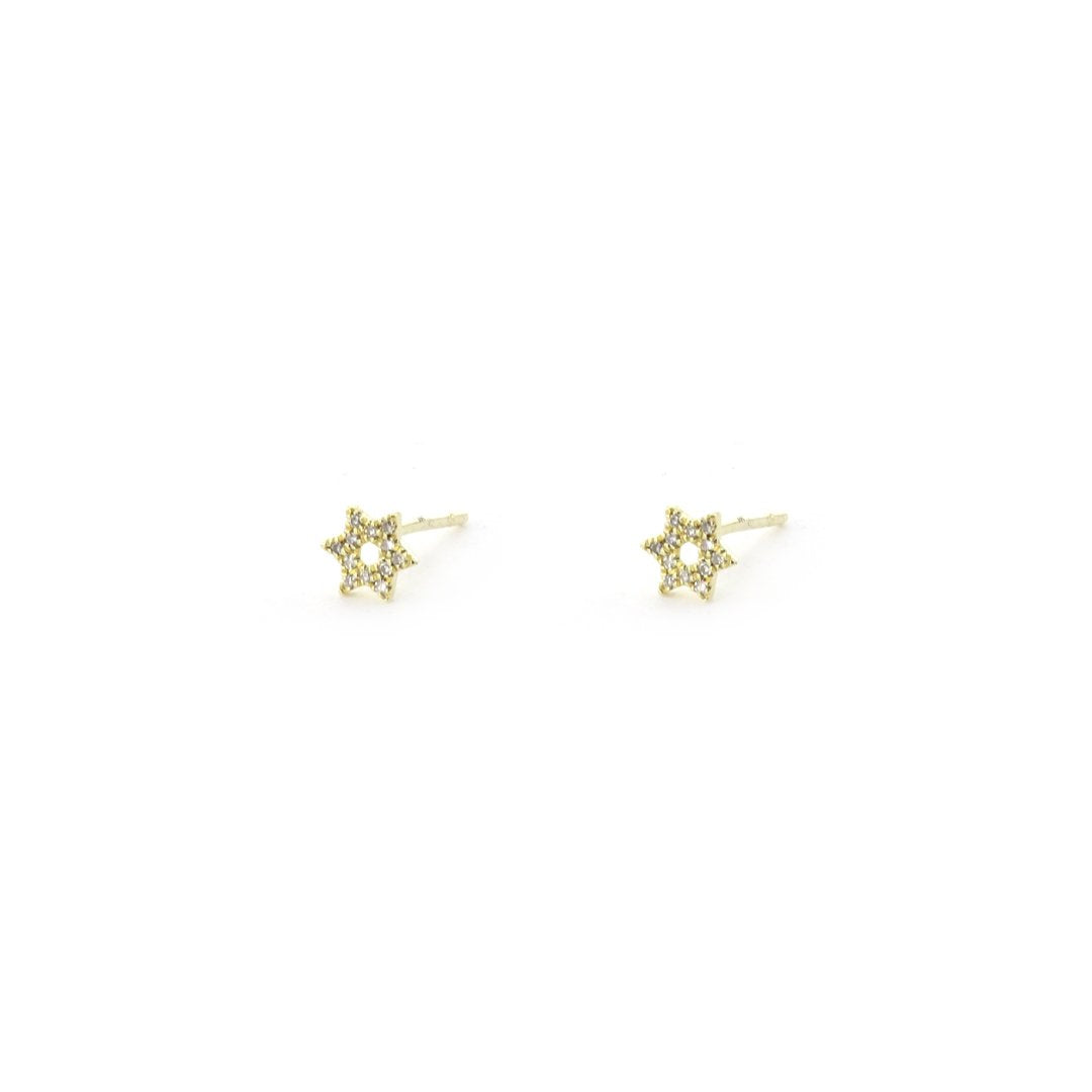 0.04 ctw Diamond Star of David Earrings