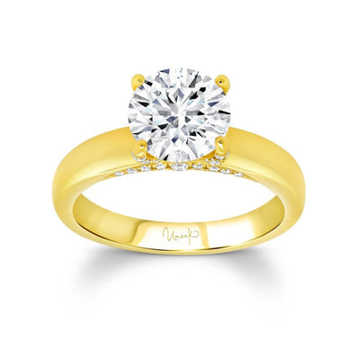 0.25 ctw Diamond Hidden Halo Engagement Ring