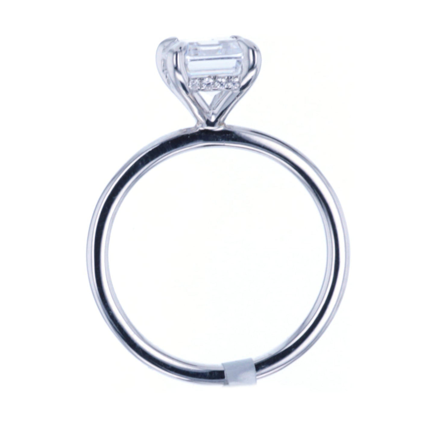 0.05 ctw Diamond Hidden Halo Engagement Ring