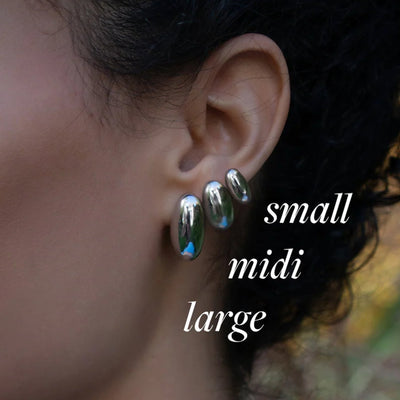 Silver Fish Earrings