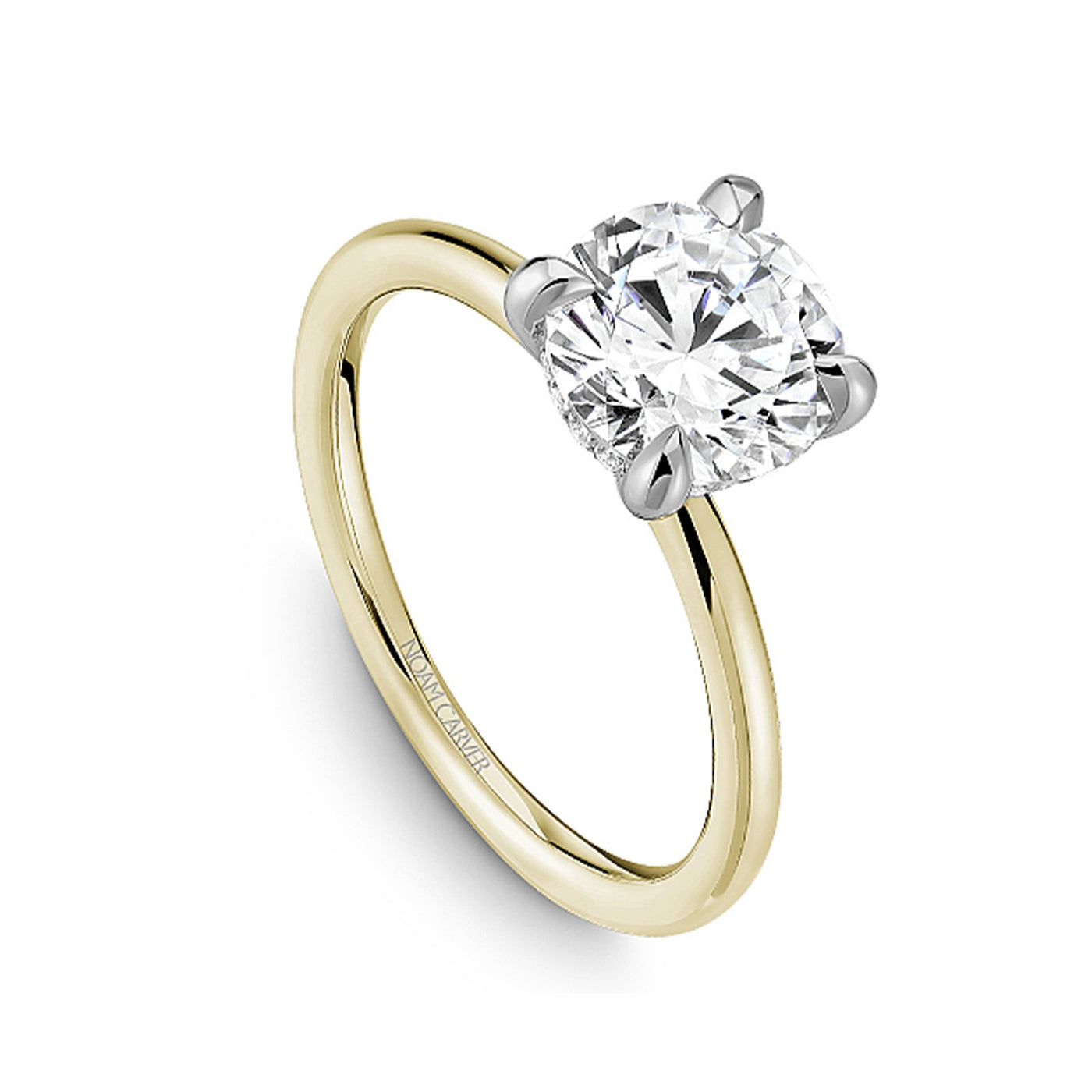 0.05 ctw Diamond Hidden Halo Engagement Ring