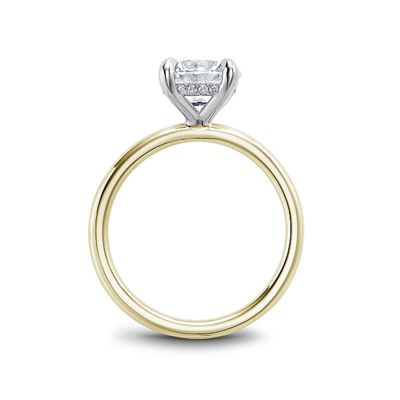 0.05 ctw Diamond Hidden Halo Engagement Ring
