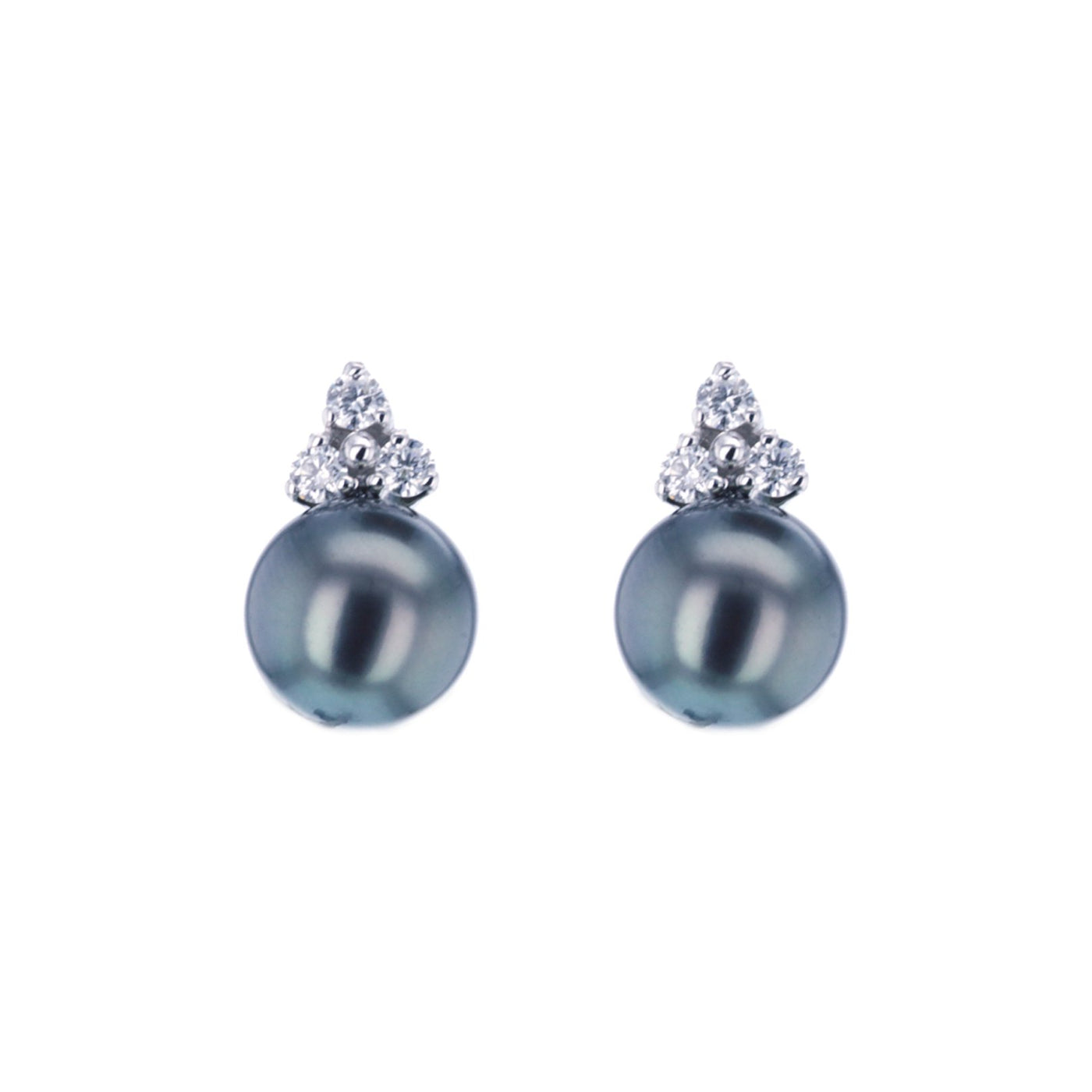 Tahitian Pearl Earrings
