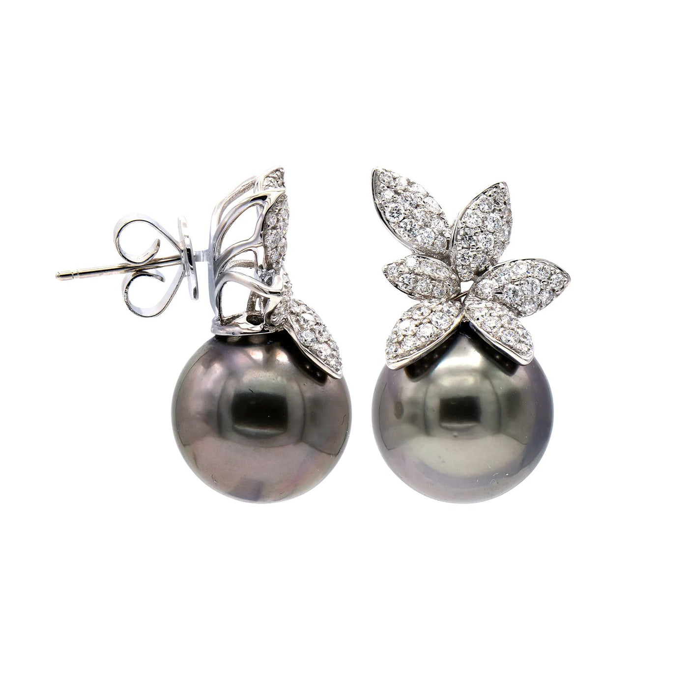 Tahitian Pearl Earrings