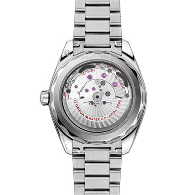 41MM Seamaster Aqua Terra