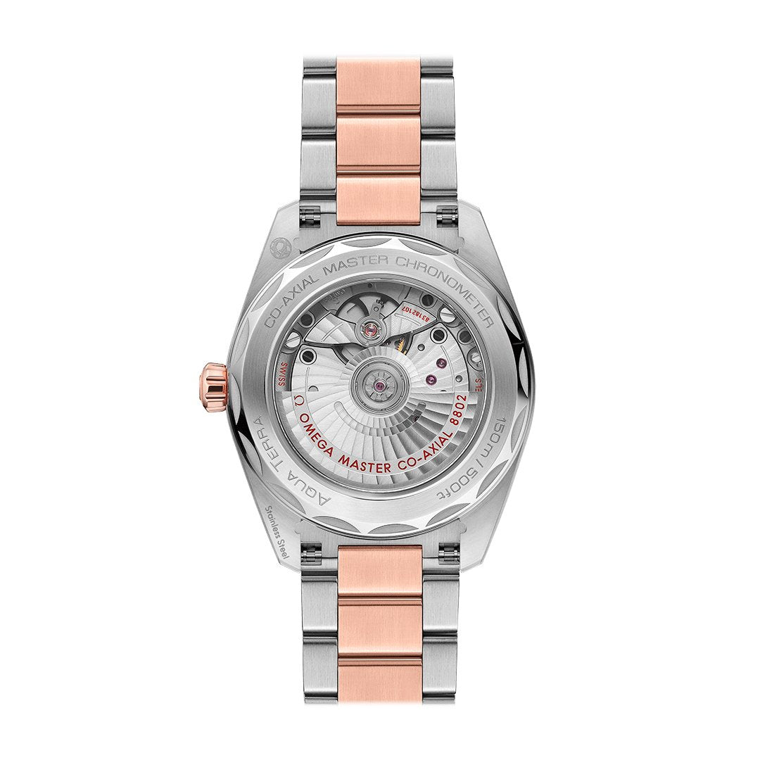 38MM Seamaster Aqua Terra