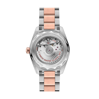 38MM Seamaster Aqua Terra