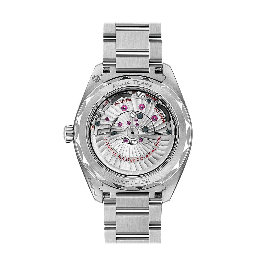 41MM Seamaster Aqua Terra