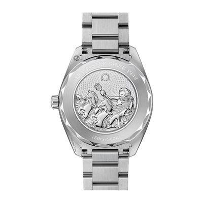 41MM Seamaster Aqua Terra