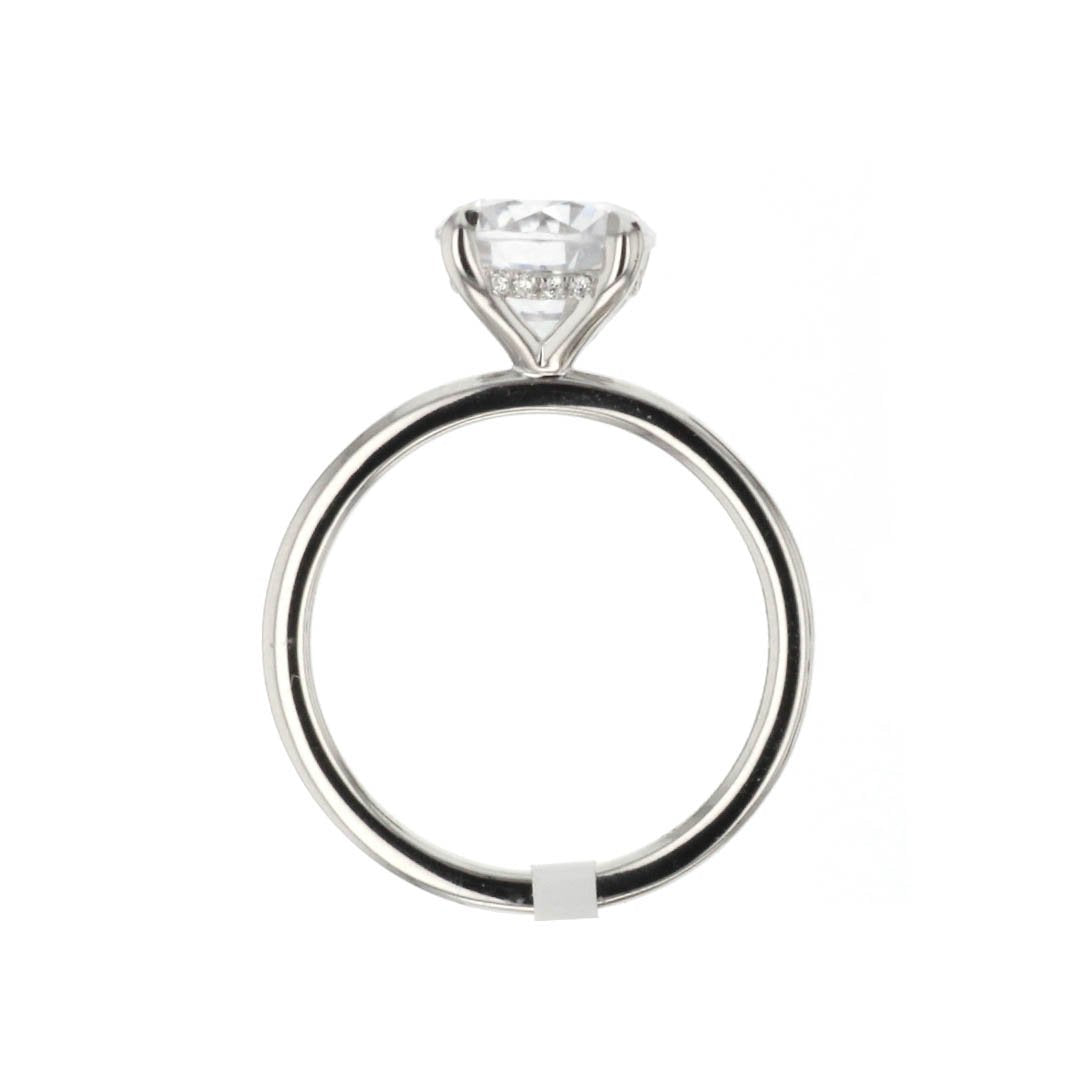 0.05 ctw Diamond Hidden Halo Engagement Ring