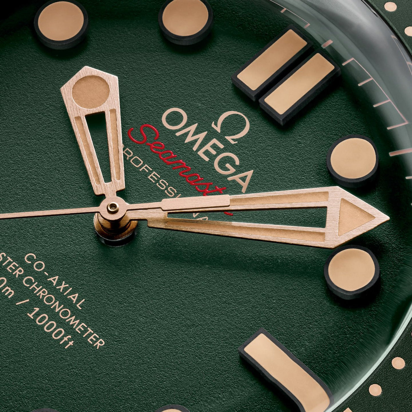 42MM Seamaster Diver 300