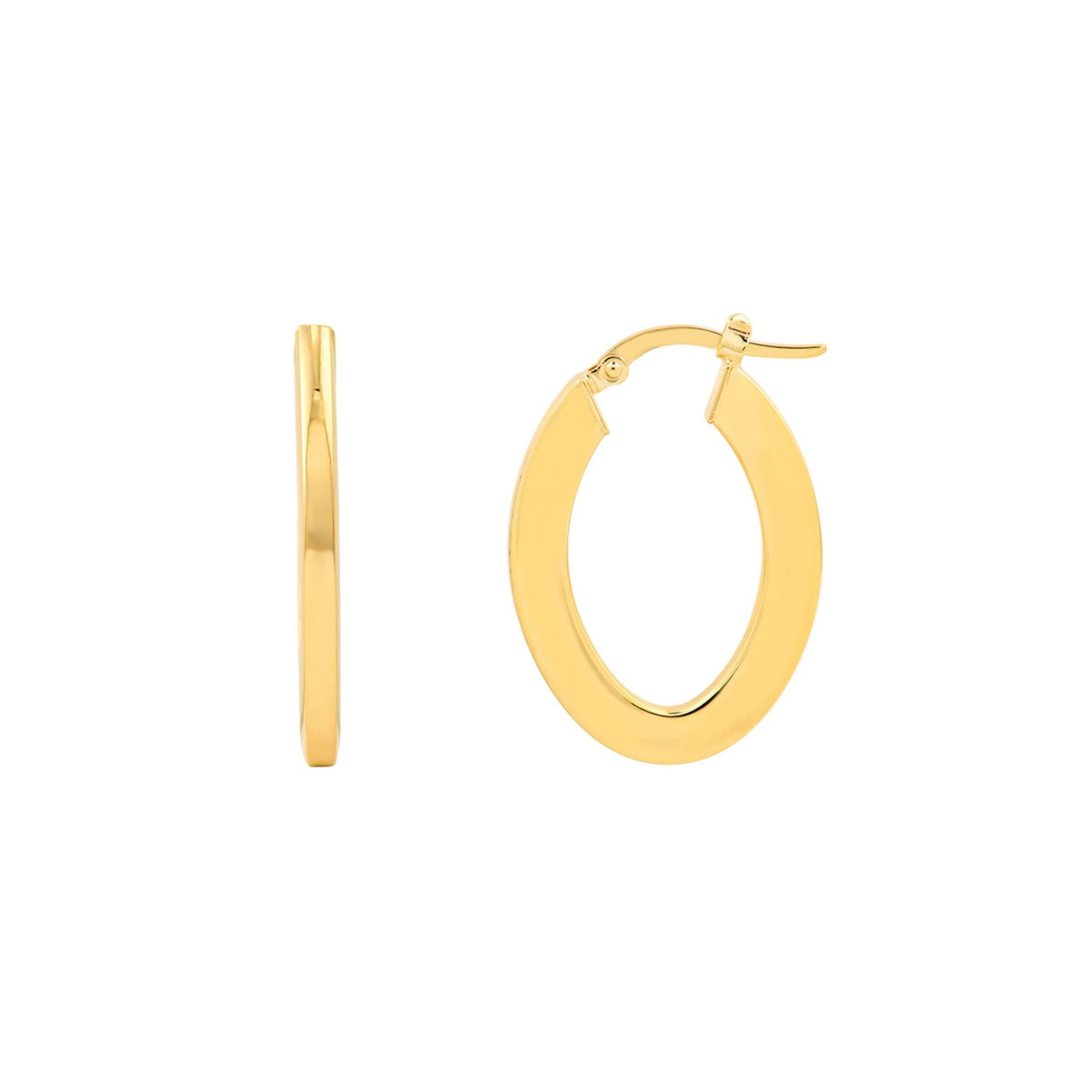 Oval Hoop Earrings