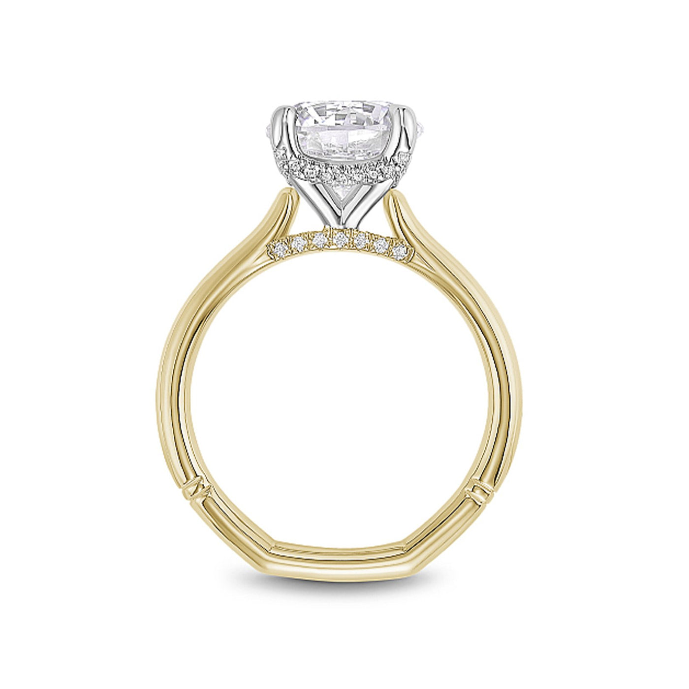 0.12 ctw Diamond Hidden Halo Engagement Ring