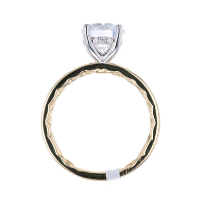 0.06 ctw Diamond Hidden Halo Engagement Ring